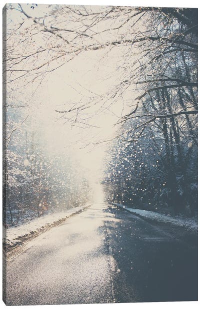 Driving Home For Christmas Canvas Art Print - Winter Wonderland
