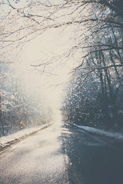 Winter Wonderland: Driving Home For Christmas by Laura Evans