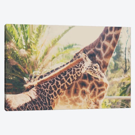 Mama And Baby Giraffe Canvas Print #LEV82} by Laura Evans Canvas Wall Art