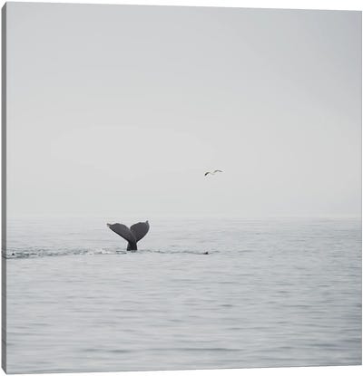 Humpback Whale III Canvas Art Print - Laura Evans