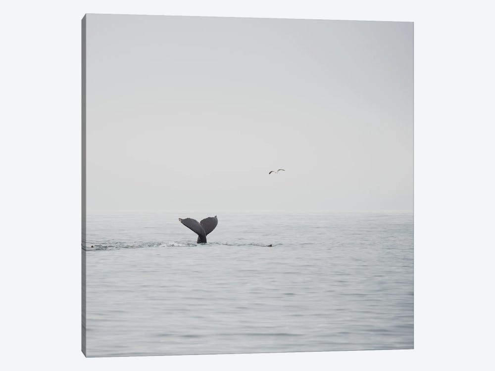 Humpback Whale III by Laura Evans 1-piece Art Print