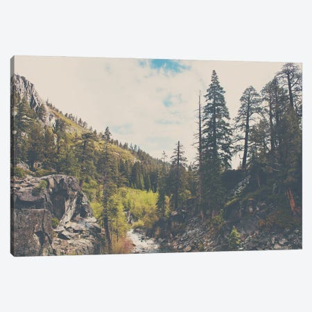 In The Wild Canvas Print #LEV95} by Laura Evans Canvas Wall Art