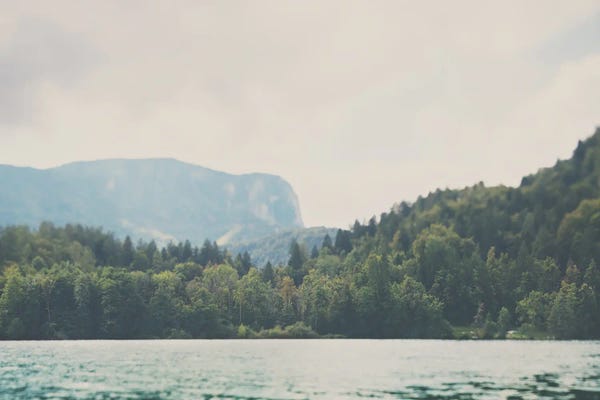 Vintage Styled Photography: Into The Wilderness She Went by Laura Evans