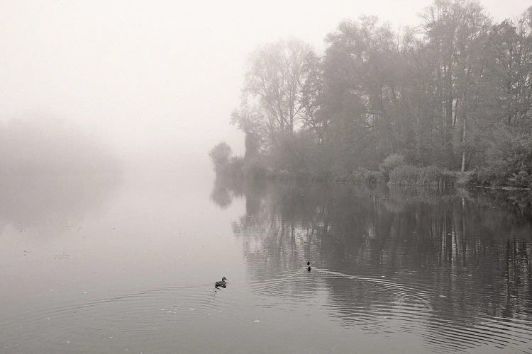 River In Mist