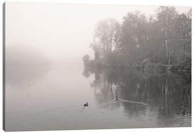 River In Mist Canvas Art Print - Lena Weisbek