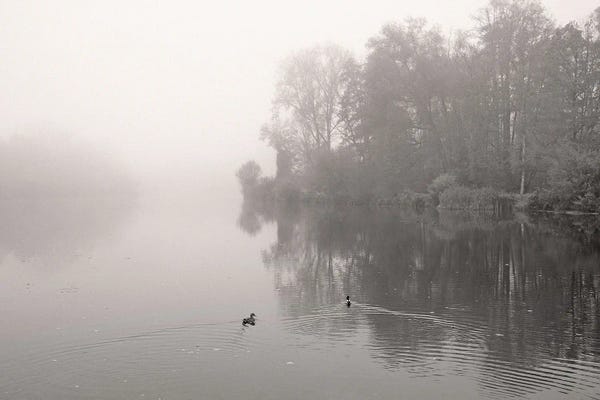 River In Mist