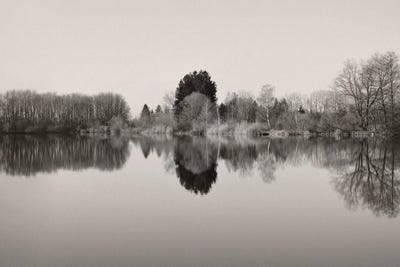 The Mirror by Lena Weisbek framed canvas print