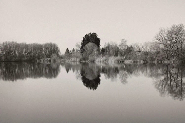 The Mirror