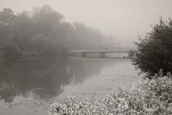 Lena Weisbek: Foggy Morning by Lena Weisbek