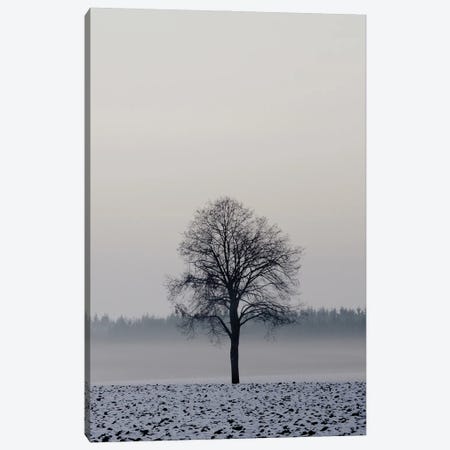 Winter Tree Canvas Print #LEW108} by Lena Weisbek Canvas Art Print