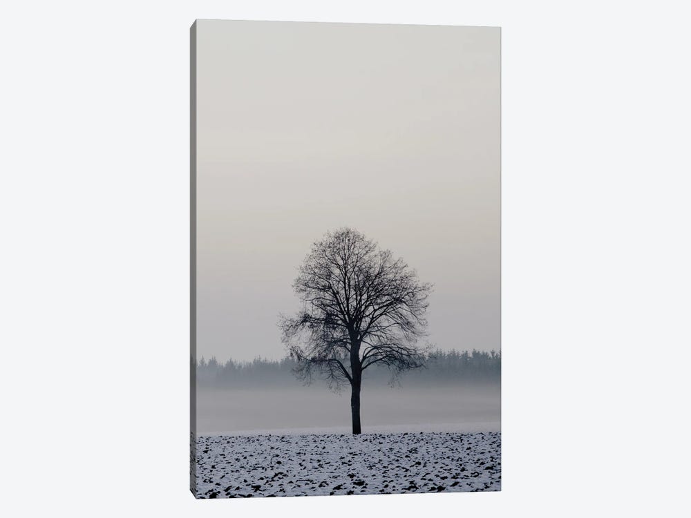 Winter Tree by Lena Weisbek 1-piece Canvas Print