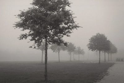 In The Fog by Lena Weisbek framed canvas print