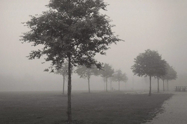 In The Fog by Lena Weisbek wall art