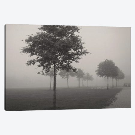 In The Fog Canvas Print #LEW109} by Lena Weisbek Canvas Print