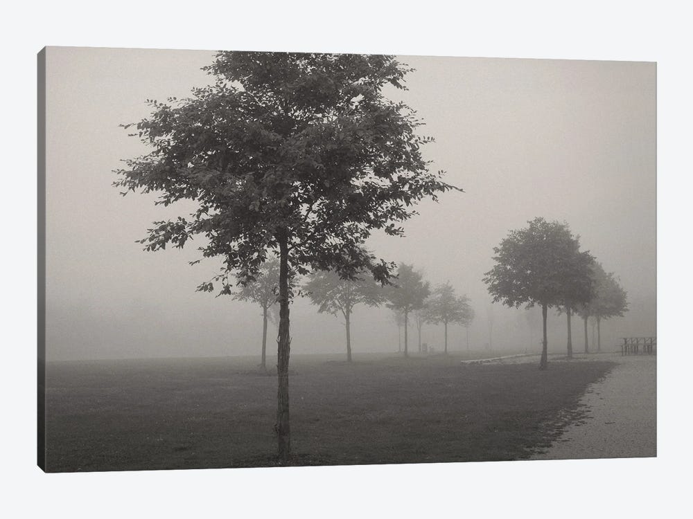 In The Fog by Lena Weisbek 1-piece Canvas Wall Art