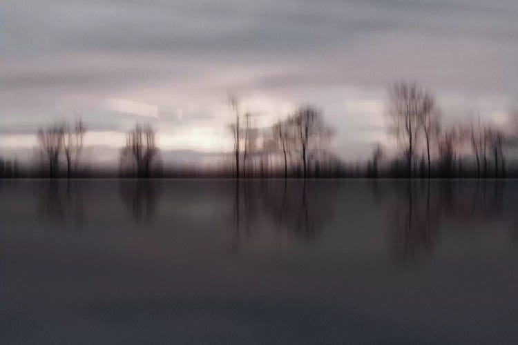 Evening Mood by Lena Weisbek wall art