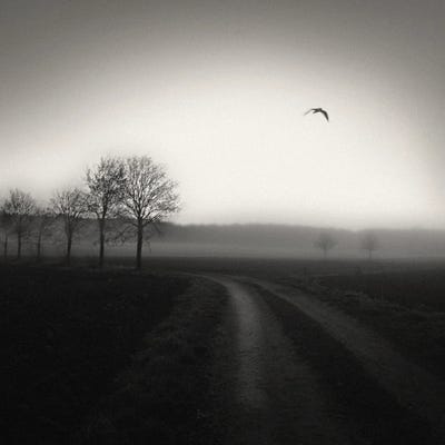 Country Lane by Lena Weisbek framed canvas print