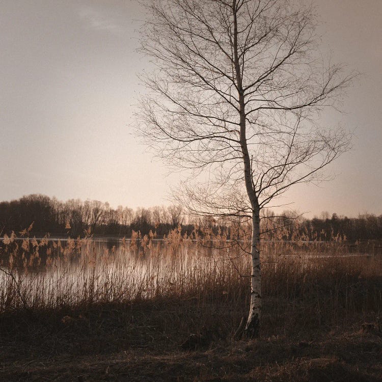 Autumn Time