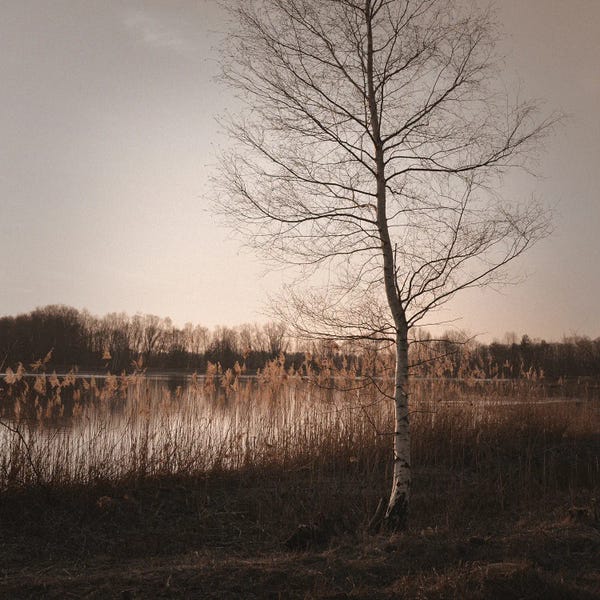 Autumn Time