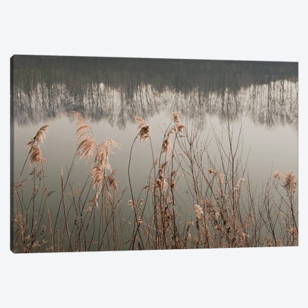 Between Reed And Water Canvas Print #LEW113} by Lena Weisbek Canvas Artwork