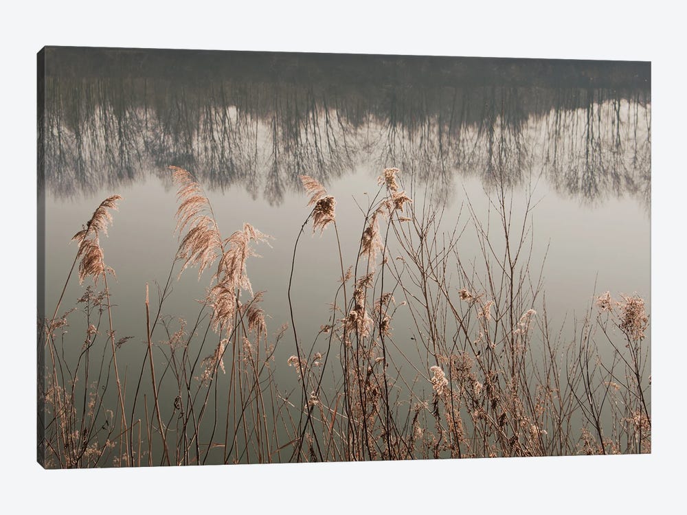 Between Reed And Water by Lena Weisbek 1-piece Art Print
