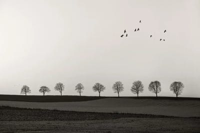 Winter Land by Lena Weisbek framed canvas print
