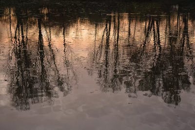 Golden Mirror by Lena Weisbek canvas print