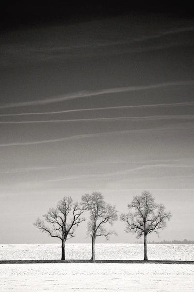 Troika by Lena Weisbek framed canvas print