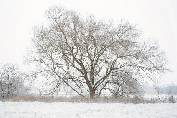 Rustic Winter: At The Glonn Valley by Lena Weisbek