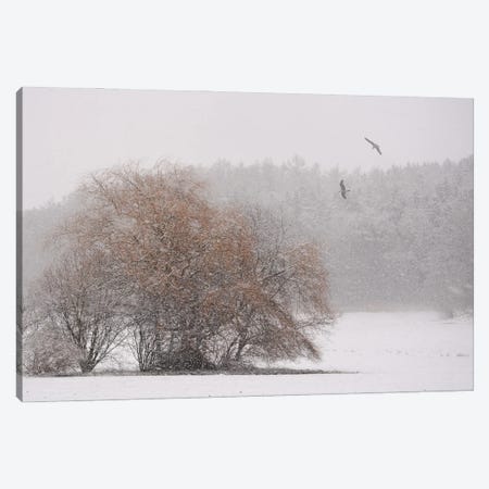 Winter Symphony Canvas Print #LEW125} by Lena Weisbek Canvas Artwork