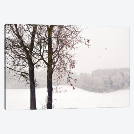 Winter Idyll Canvas Print #LEW126} by Lena Weisbek Canvas Artwork