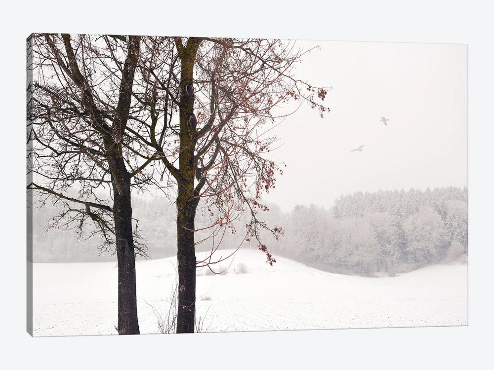 Winter Idyll by Lena Weisbek 1-piece Canvas Art Print