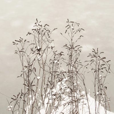 In Unison by Lena Weisbek framed canvas print