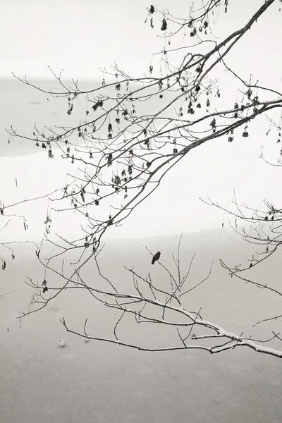 On The Frozen Pond by Lena Weisbek framed canvas print