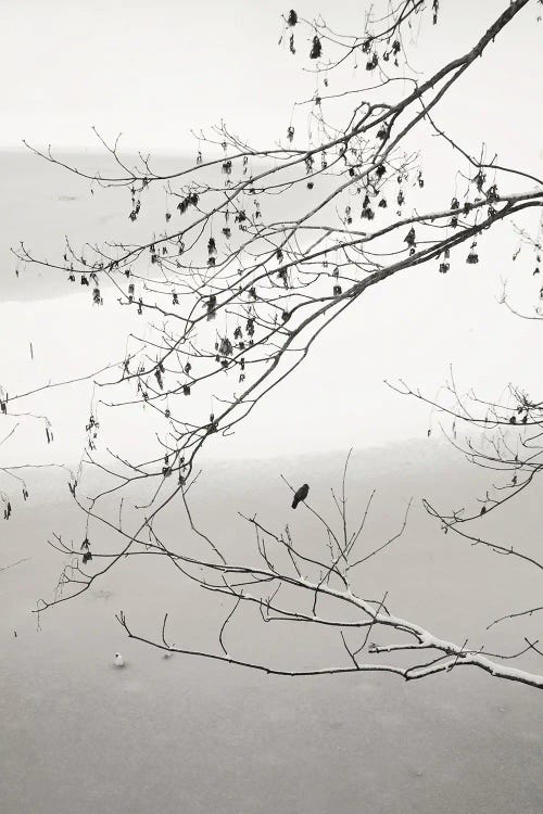 On The Frozen Pond by Lena Weisbek wall art