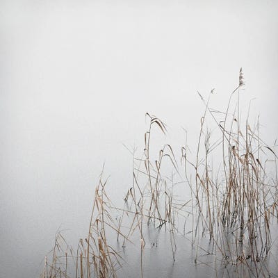 Grey January by Lena Weisbek framed canvas print