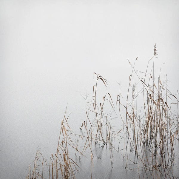 Lena Weisbek: Grey January by Lena Weisbek