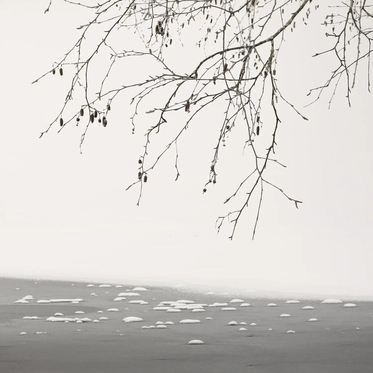 At The Frozen Lake by Lena Weisbek wall art
