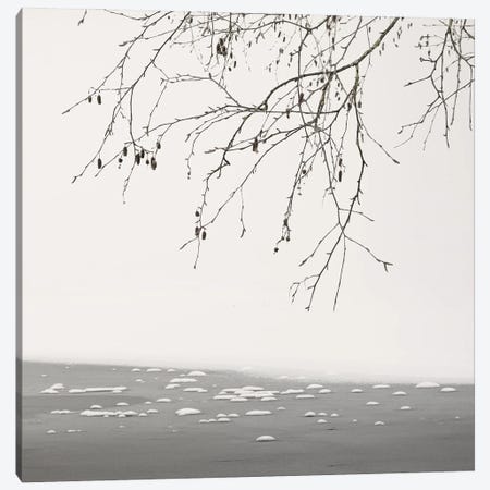 At The Frozen Lake Canvas Print #LEW131} by Lena Weisbek Canvas Art