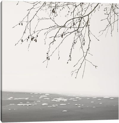 At The Frozen Lake Canvas Art Print - Lena Weisbek