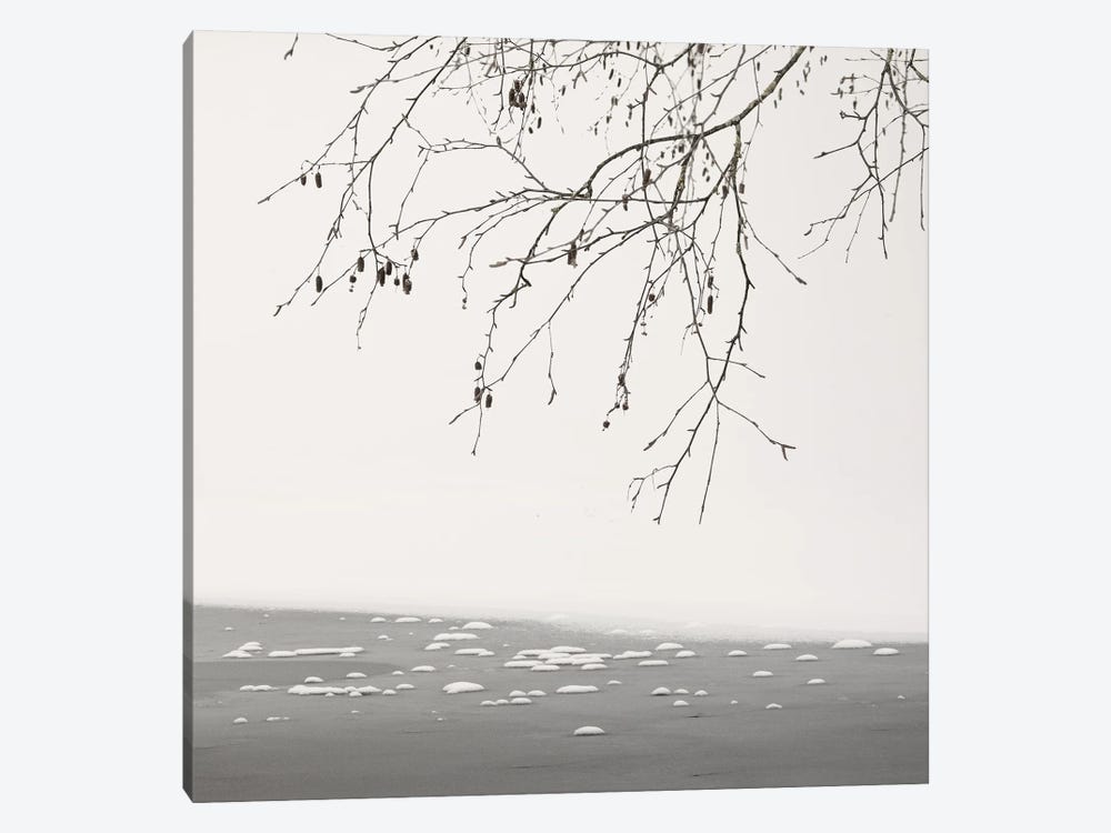 At The Frozen Lake by Lena Weisbek 1-piece Canvas Print