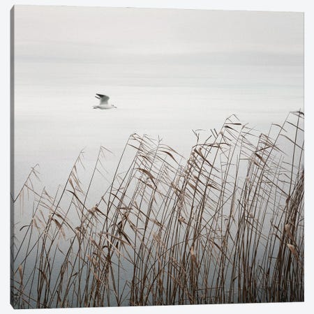 Bird On The Lake Canvas Print #LEW132} by Lena Weisbek Canvas Artwork