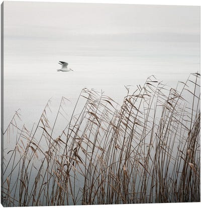 Bird On The Lake Canvas Art Print - Lena Weisbek