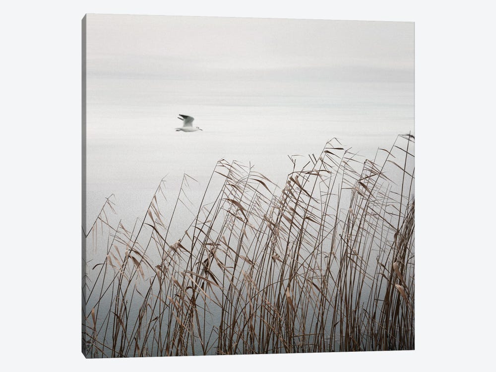 Bird On The Lake by Lena Weisbek 1-piece Canvas Art