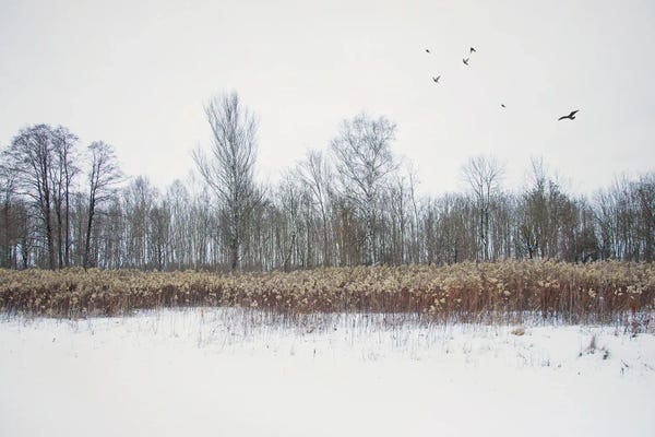 Rustic Winter: Country Romantic by Lena Weisbek