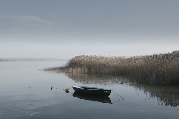 Canoes: Boat On The Lake Shore by Lena Weisbek