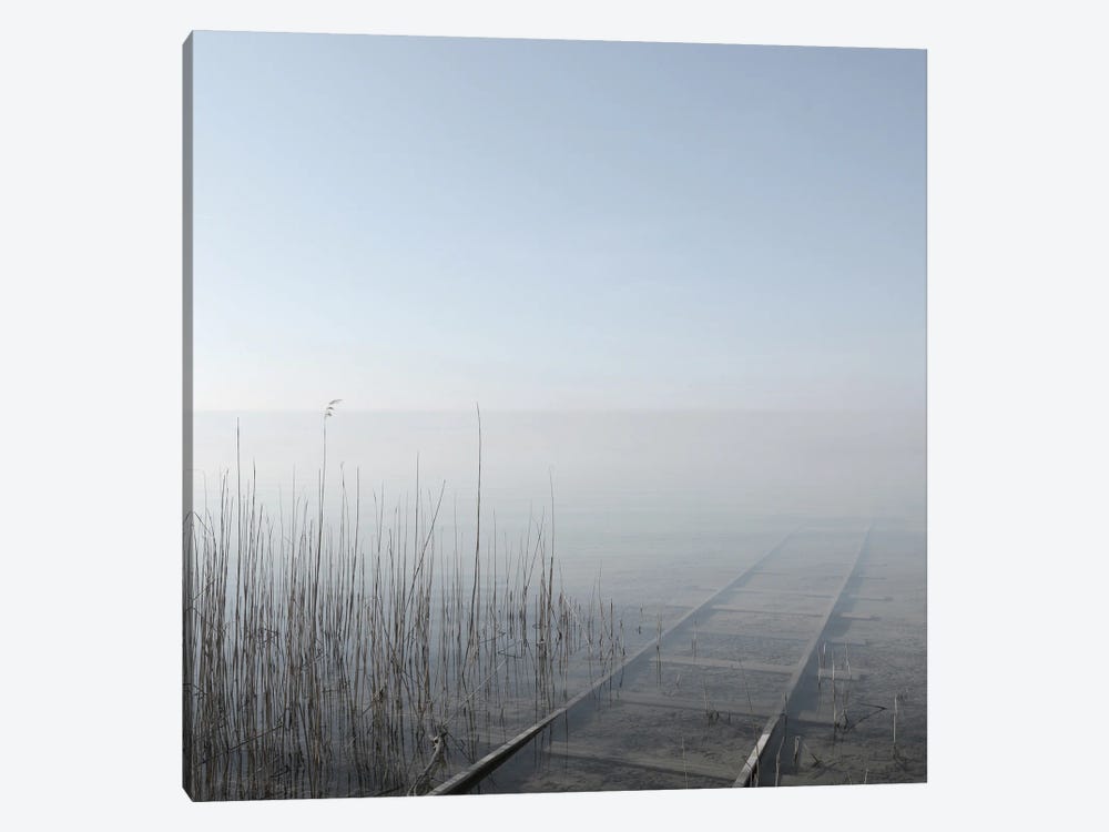 Into Nowhere by Lena Weisbek 1-piece Canvas Artwork