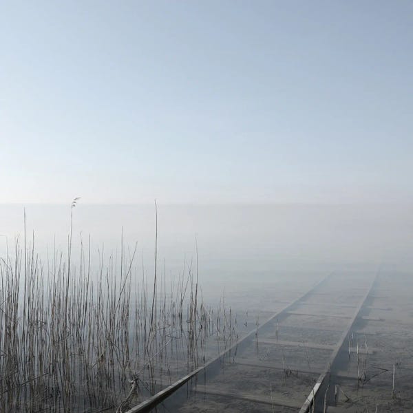 Grasses: Into Nowhere by Lena Weisbek