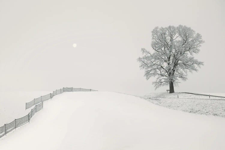 White Hillscape