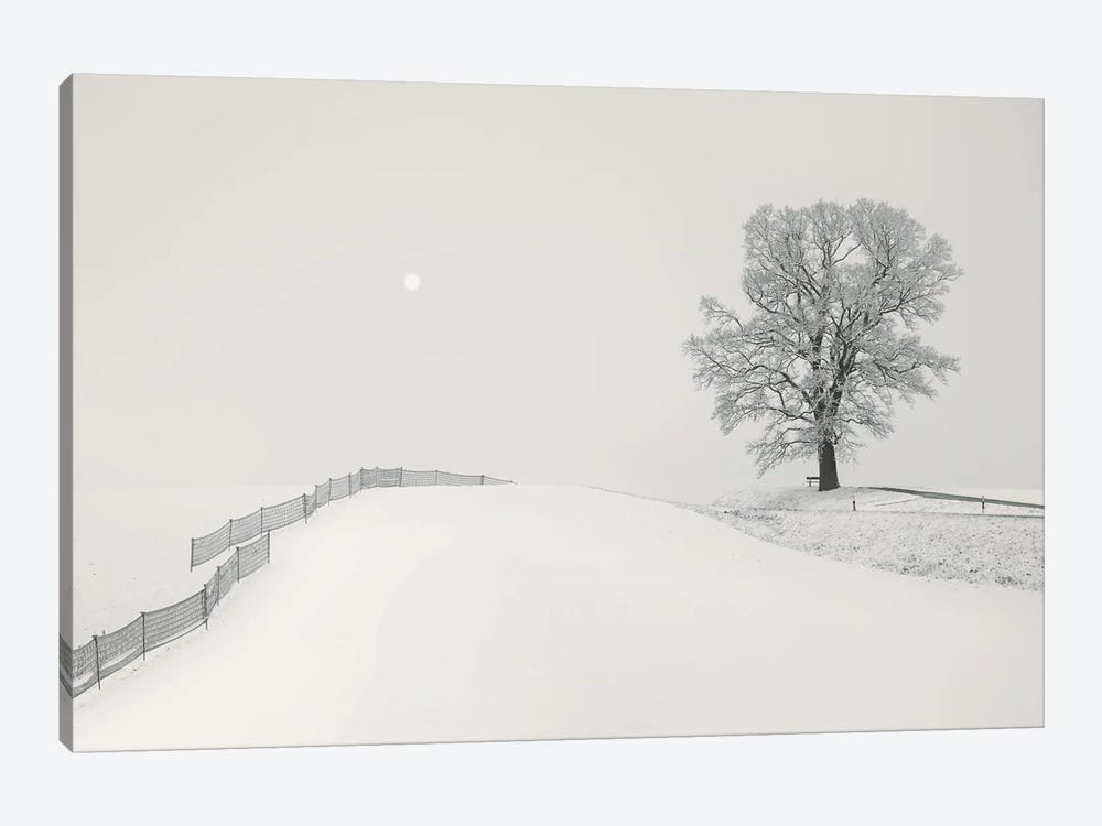 White Hillscape by Lena Weisbek 1-piece Canvas Artwork